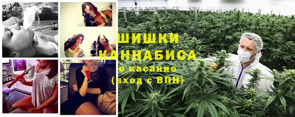 метадон Белокуриха