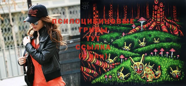 метадон Белокуриха