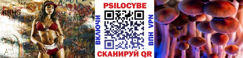 Галлюциногенные грибы мицелий  Купить закладки  Могоча 